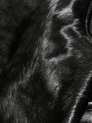 Cossack Leather Jacket - Brake House - Natural hide - 22